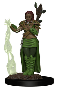 Gamers Guild AZ Dungeons & Dragons WZK93009 D&D Icons of the Realms: Premium Set 2- Human Female Druid Southern Hobby