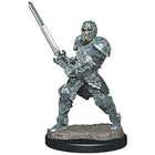 Gamers Guild AZ Dungeons & Dragons WZK93017 D&D Icons of the Realms: Premium Set 3-Male Human Fighter Southern Hobby