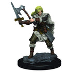 Gamers Guild AZ Dungeons & Dragons WZK93020 D&D Icons of the Realms: Premium Set 3- Human Female Barbarian Southern Hobby