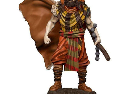 Gamers Guild AZ Dungeons & Dragons WZK93031 D&D Icons of the Realms: Premium Set 4- Human Druid Male Southern Hobby