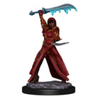 Gamers Guild AZ Dungeons & Dragons WZK93032 D&D Icons of the Realms: Premium Set 5- Human Rogue Female Southern Hobby