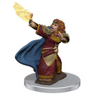 Gamers Guild AZ Dungeons & Dragons WZK93056 D&D Icons of the Realms: Premium Set 7- Female Dwarf Wizard Southern Hobby