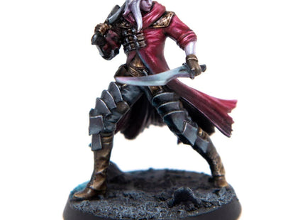 Gamers Guild AZ Eldfall Chronicles Eldfall Chronicles: Coalition of Thenion - Thenrin Swashbuckler (Pre-Order) AGD