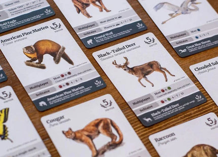 Gamers Guild AZ Firestarter Games Reforest: Old Growth Expansion (Pre-Order) Quartermaster Direct