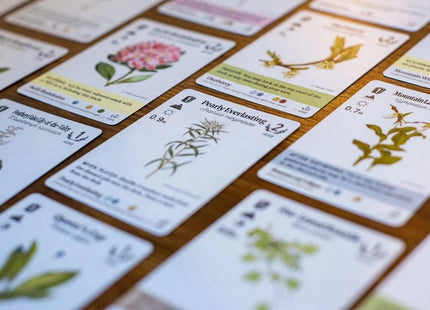 Gamers Guild AZ Firestarter Games Reforest: Old Growth Expansion (Pre-Order) Quartermaster Direct