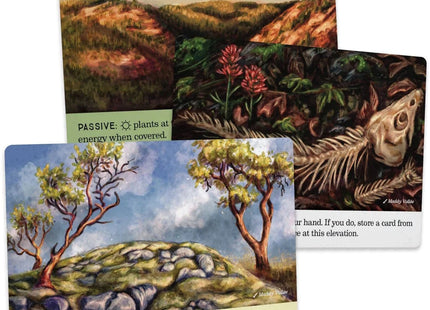 Gamers Guild AZ Firestarter Games Reforest: Old Growth Expansion (Pre-Order) Quartermaster Direct