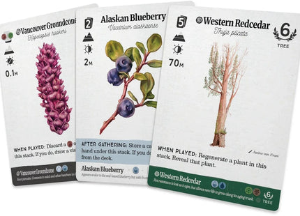 Gamers Guild AZ Firestarter Games Reforest: Old Growth Expansion (Pre-Order) Quartermaster Direct