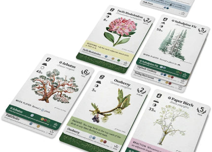 Gamers Guild AZ Firestarter Games Reforest: Old Growth Expansion (Pre-Order) Quartermaster Direct