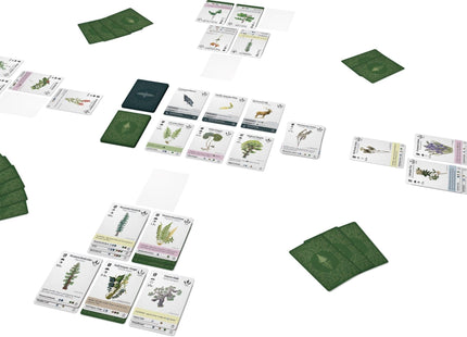 Gamers Guild AZ Firestarter Games Reforest: Plants of the Pacific Northwest Coast (Pre-Order) Quartermaster Direct