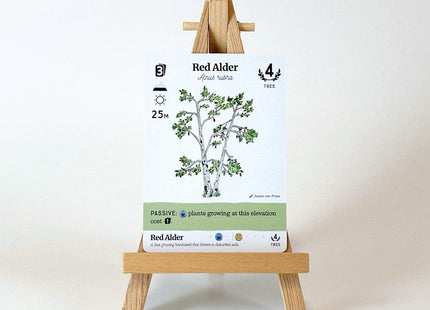 Gamers Guild AZ Firestarter Games Reforest: Plants of the Pacific Northwest Coast (Pre-Order) Quartermaster Direct