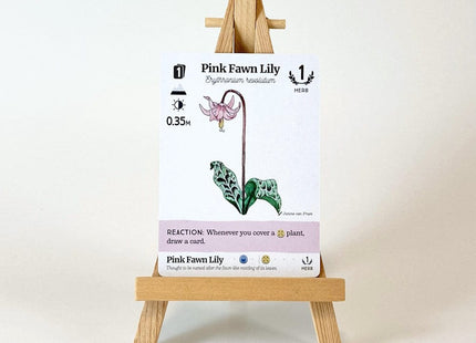 Gamers Guild AZ Firestarter Games Reforest: Plants of the Pacific Northwest Coast (Pre-Order) Quartermaster Direct