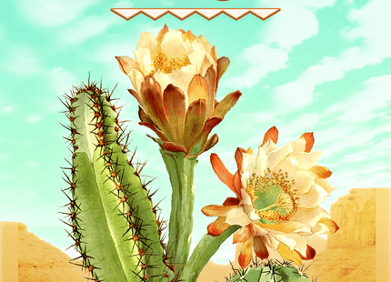 Gamers Guild AZ Galen's Games Verdant Arizona (Pre-Order) Quartermaster Direct