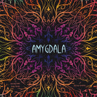 Gamers Guild AZ Game Brewer Amygdala - Black Friday Discontinue