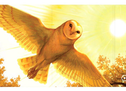 Gamers Guild AZ Heavy Play LLC Heavy Play: ETB Playmat Art Masters - Eric Deschamps - Bird AGD