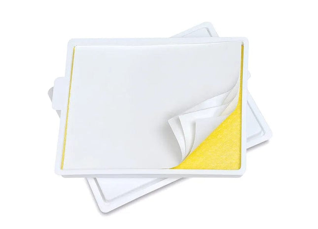 Gamers Guild AZ Huge Miniatures Huge Miniatures: Masterson Wet Palette Huge Miniatures