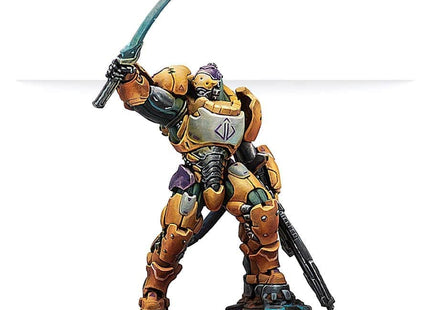 Gamers Guild AZ Infinity Infinity: Yu Jing: Reinforcements: Haetae Unit GTS