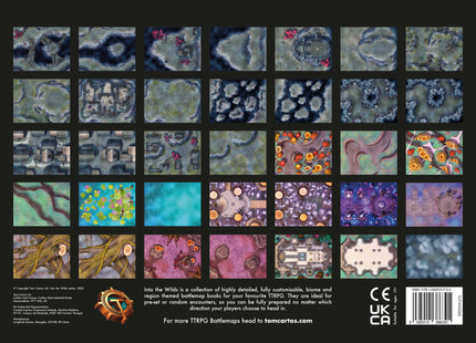 Gamers Guild AZ Into The WIlds Into the Wilds Extraplanar Battlemap Books - Fey & Fell (Pre-Order) Quartermaster Direct