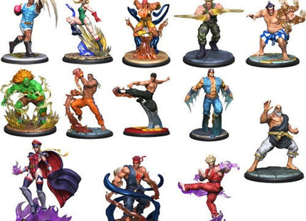 Gamers Guild AZ Jasco Games Street Fighter the Miniatures Game: Stretch Goals Asmodee