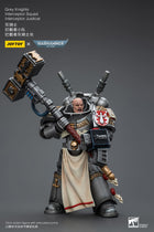 Gamers Guild AZ JoyToy JoyToy x Warhammer 40,000: Grey Knights: Interceptor Squad - Interceptor Justicar (Pre-Order) Golden Goose Games