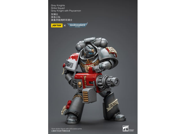 Gamers Guild AZ JoyToy JoyToy x Warhammer 40,000: Grey Knights: Strike Squad - Grey Knight with Psycannon (Pre-Order) Golden Goose Games