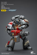 Gamers Guild AZ JoyToy JoyToy x Warhammer 40,000: Grey Knights: Strike Squad - Grey Knight with Psycannon (Pre-Order) Golden Goose Games