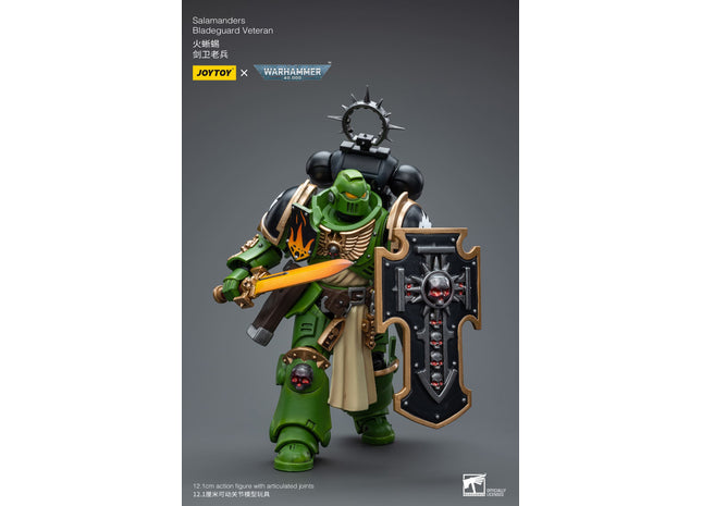 Gamers Guild AZ JoyToy JoyToy x Warhammer 40,000: Salamanders: Bladeguard Veteran (Pre-Order) Golden Goose Games