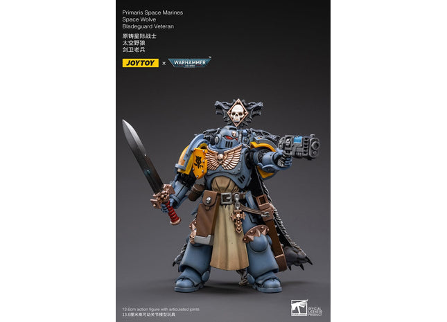 Gamers Guild AZ JoyToy JoyToy x Warhammer 40,000: Space Wolves: Bladeguard Veteran (Pre-Order) Golden Goose Games