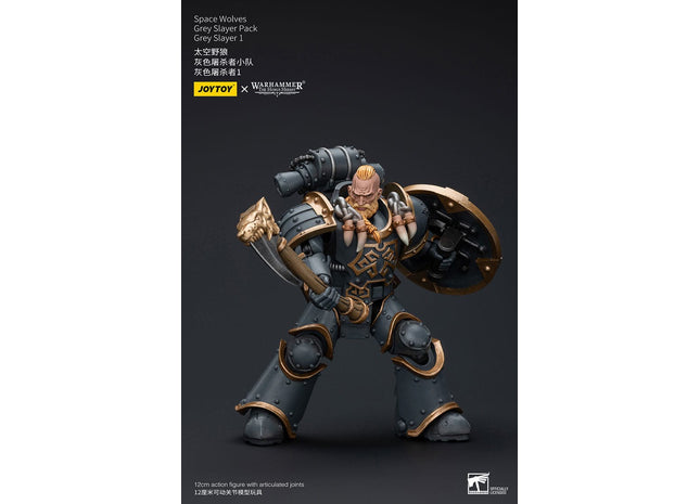 Gamers Guild AZ JoyToy JoyToy x Warhammer 40,000: Space Wolves Grey Slayer Pack Grey Slayer 1 Discontinue