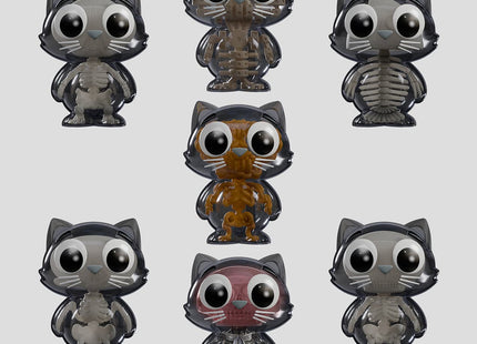 Gamers Guild AZ Kaleidos Creative Kaleidos Creative: Catscans (Bare Bones) Blind Box Kaleidos Creative
