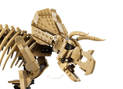 Gamers Guild AZ Lego Lego: Jurassic World - Dinosaur Fossils: Triceratops (77985) Toyhouse