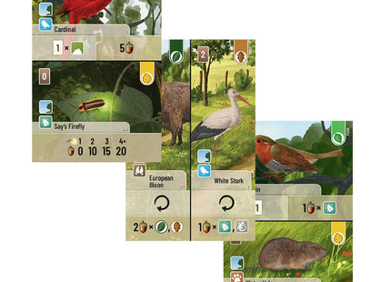 Gamers Guild AZ Lookout Games Forest Shuffle: Exploration Asmodee