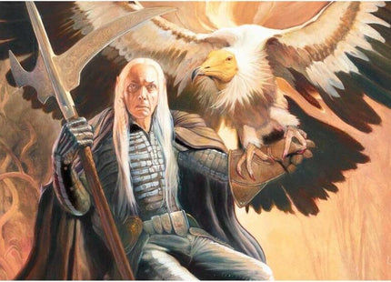 Gamers Guild AZ Magic: The Gathering Magic: The Gathering - Playmat - Secret Lair 2024 Julie Bell - Elves of Deep Shadow Discontinue