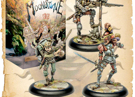 Gamers Guild AZ Moonstone Moonstone: The Barony Goblin King Games