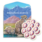Gamers Guild AZ North Star Games Nature: Spring Mini-Module Kickstarter