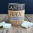 Gamers Guild AZ Novelties Cantrip Candles: Adventurer's Wax Melts Cantrip Candles