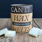 Gamers Guild AZ Novelties Cantrip Candles: Black Hound Tavern - Wax Melts Cantrip Candles