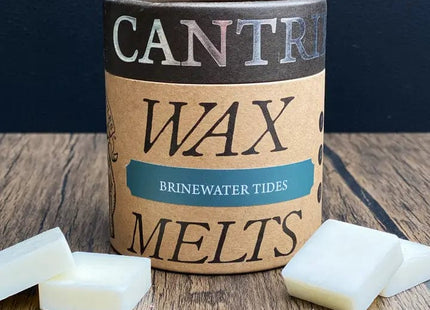 Gamers Guild AZ Novelties Cantrip Candles: Brinewater Tides Wax Melts Cantrip Candles