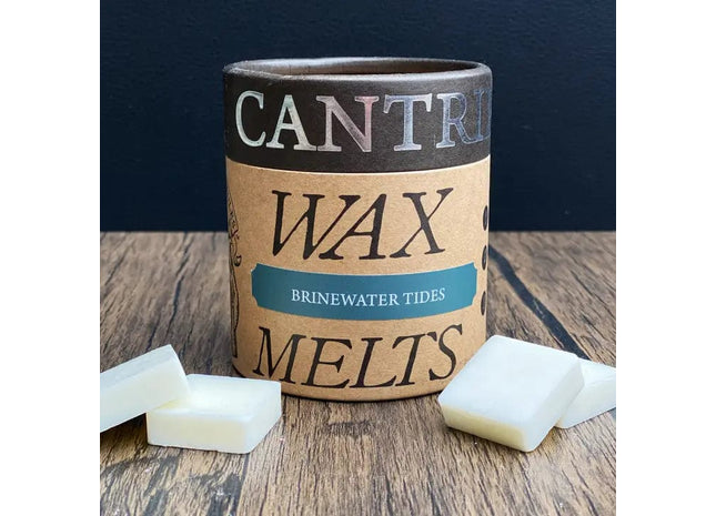 Gamers Guild AZ Novelties Cantrip Candles: Brinewater Tides Wax Melts Cantrip Candles
