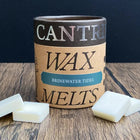 Gamers Guild AZ Novelties Cantrip Candles: Brinewater Tides Wax Melts Cantrip Candles