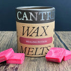 Gamers Guild AZ Novelties Cantrip Candles: Healing Potion Wax MeltsHealing Potion Cantrip Candles