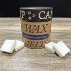 Gamers Guild AZ Novelties Cantrip Candles: Library Scriptorium Wax Melts Cantrip Candles