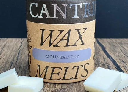 Gamers Guild AZ Novelties Cantrip Candles: Mountaintop Wax Melts Cantrip Candles