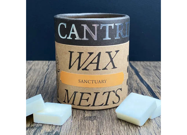 Gamers Guild AZ Novelties Cantrip Candles: Sanctuary Wax Melts Cantrip Candles