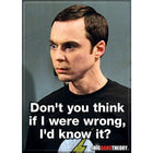 Gamers Guild AZ Novelties Magnet: Big Bang Theory Sheldon Wrong Ata-Boy Inc