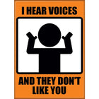 Gamers Guild AZ Novelties Magnet: iCreate I Hear Voices Ata-Boy Inc