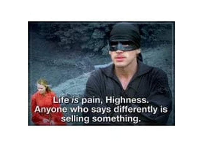 Gamers Guild AZ Novelties Magnet: Princess Bride Pain Is Life Ata-Boy Inc