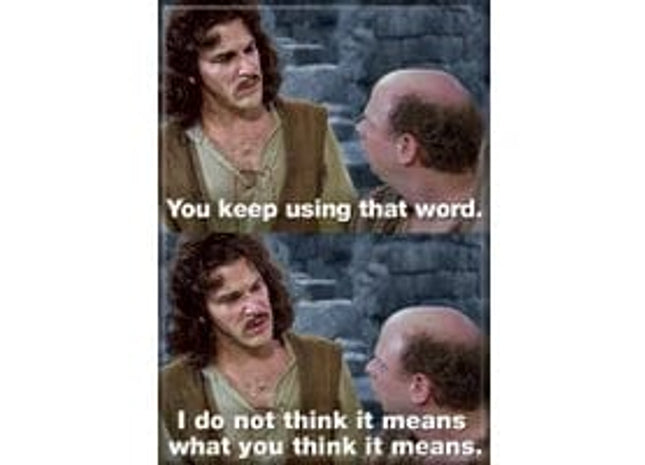 Gamers Guild AZ Novelties Magnet: Princess Bride What You Think It Means Ata-Boy Inc