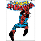 Gamers Guild AZ Novelties Magnet: Spiderman Character Ata-Boy Inc