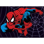 Gamers Guild AZ Novelties Magnet: Spiderman on Web Ata-Boy Inc