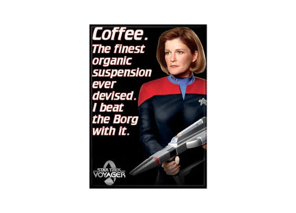 Gamers Guild AZ Novelties Magnet: Star Trek Voyager Janeway Quote Ata-Boy Inc